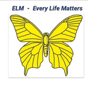 ELM NI Suicide prevention