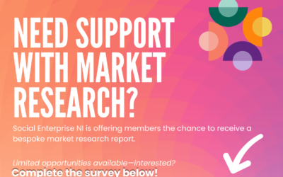 Does your Social Enterprise need research support?