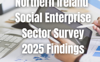 Social Enterprise Sector Survey Findings 2025